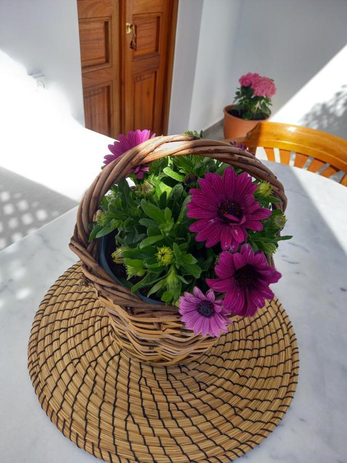 Patmos Little Suites Skála Exteriör bild